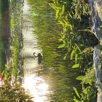 Hanbin Wang's profile picture