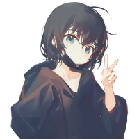 Sihan XU's profile picture