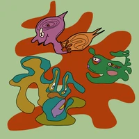 Carol Wasef's profile picture