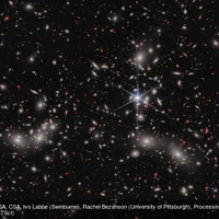 Guénard's profile picture