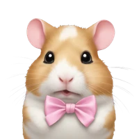 Rafia Soomro's profile picture