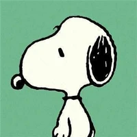 Aarushi Singh's profile picture