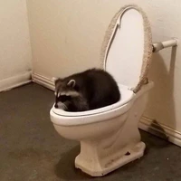 Ricardo Chávez Torres's profile picture